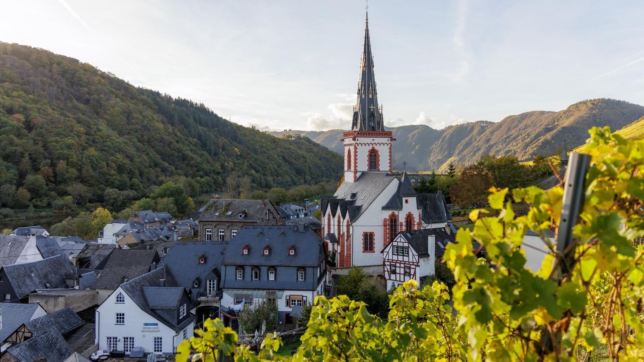 AreaSummer5KM AreaSummer5KM